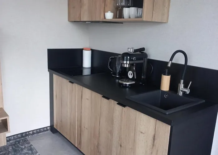 Komfortowy Z Widokiem Na Gory Z Sauna Oraz Basenem Zloty Horyzont Шклярска-Поремба